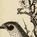 Toyohiro Utagawa Gallery